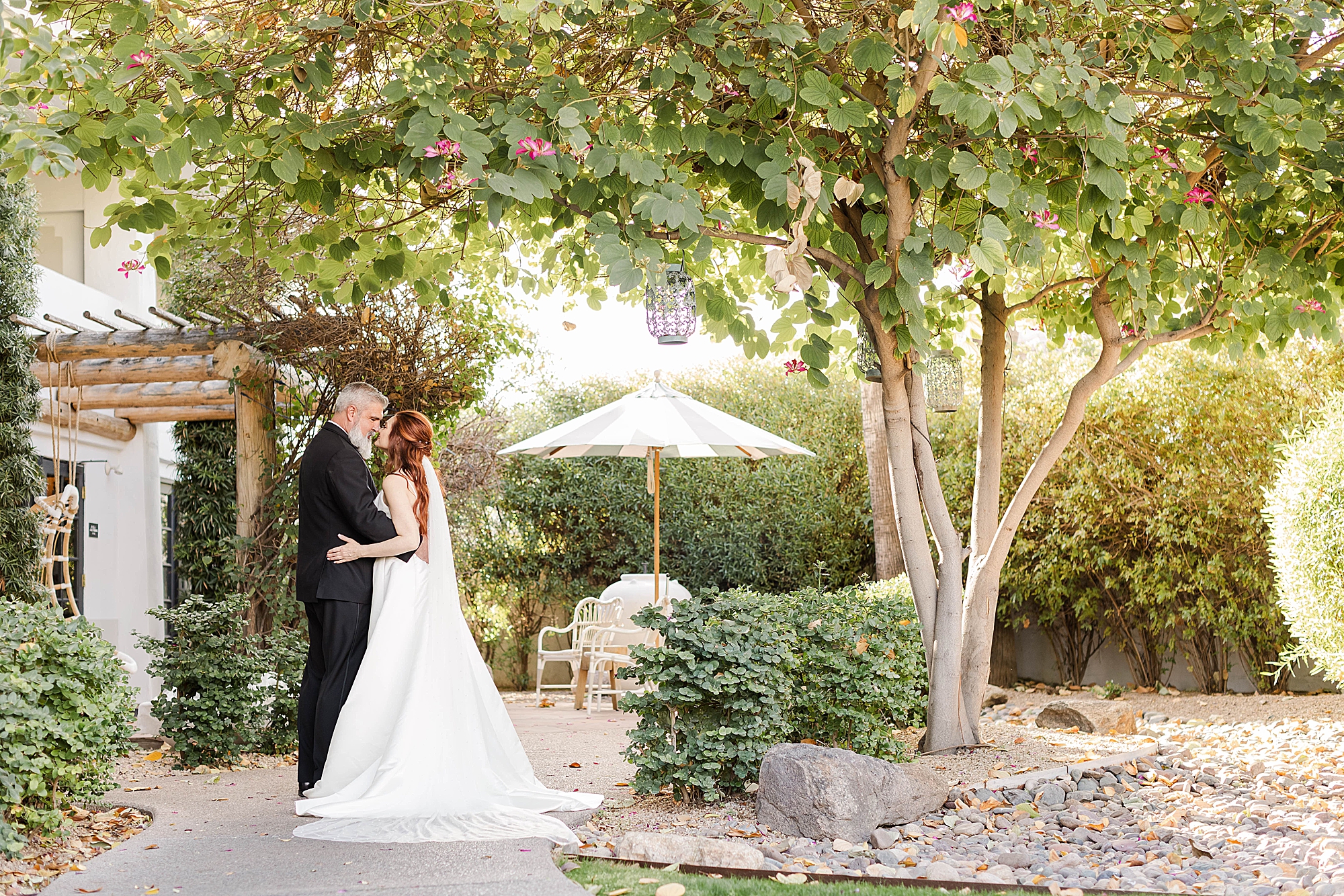 The Scott Resort and Spa Wedding bride groom kissing under tree