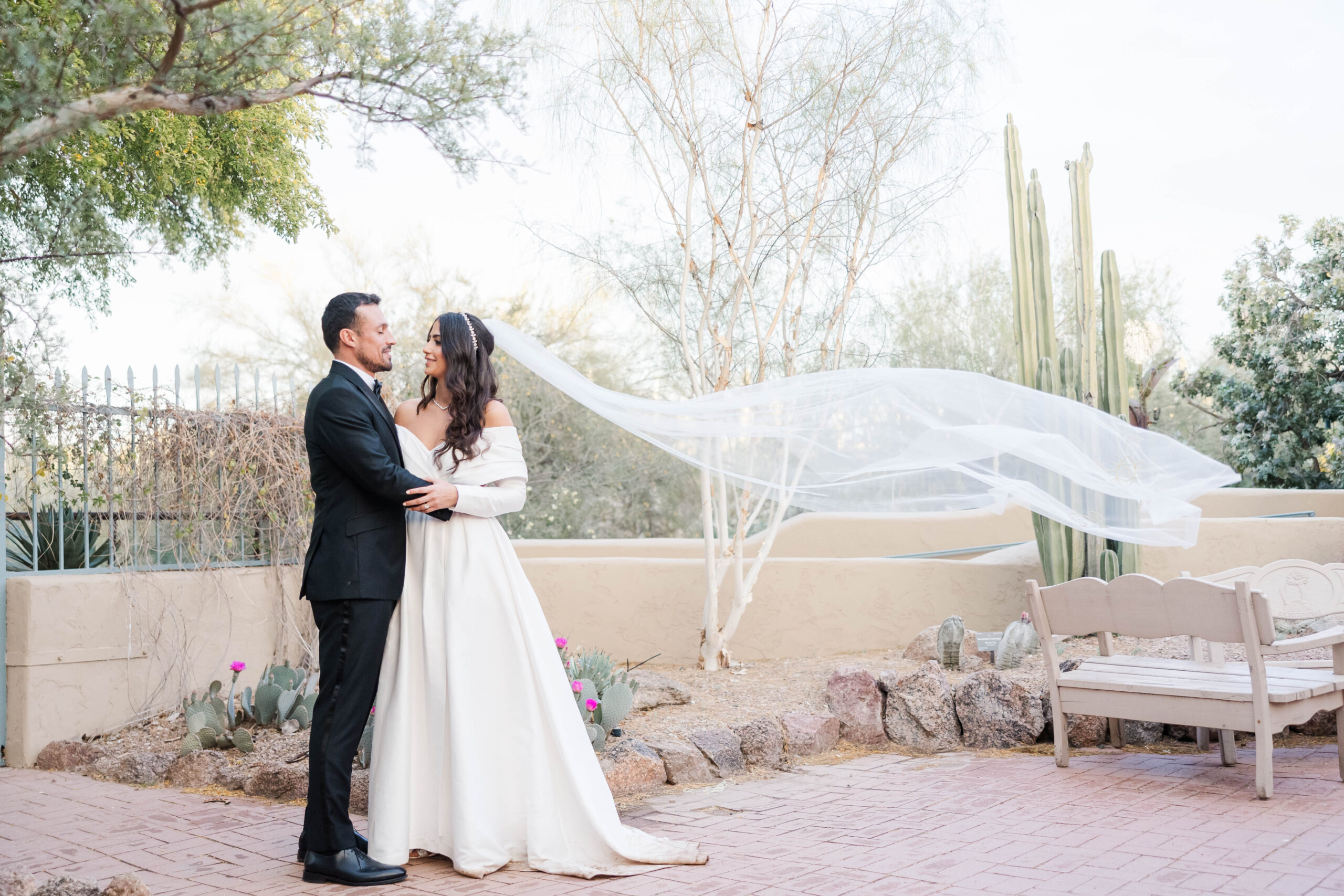 Affordable Wedding Photographers Desert Botanical Garden Pink Pineapple Studio