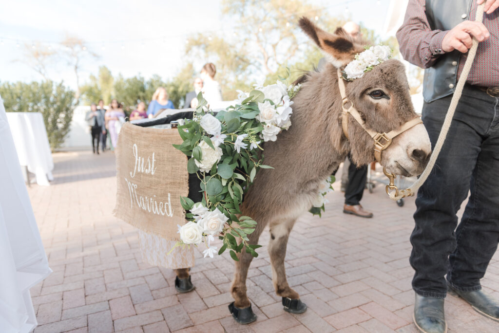 Enchanting Blissful Wedding Lindsay Grove Affordable Phoenix Wedding Photographer