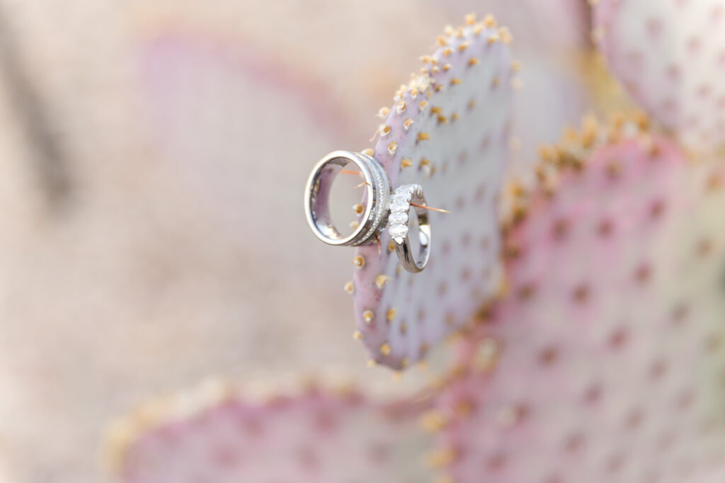 Captivating Elegant Wedding Dolce Events Affordable Scottsdale Wedding Photographer